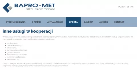Urodzaj usług w naszej ofercie
